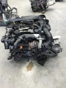 C3