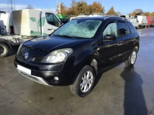 Koleos