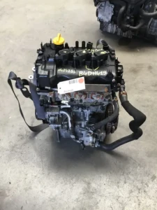 Sandero
