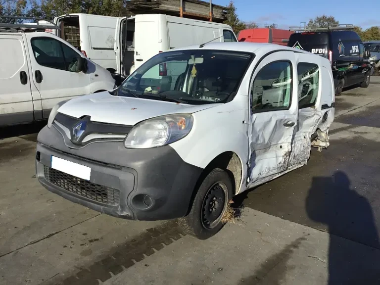 Kangoo