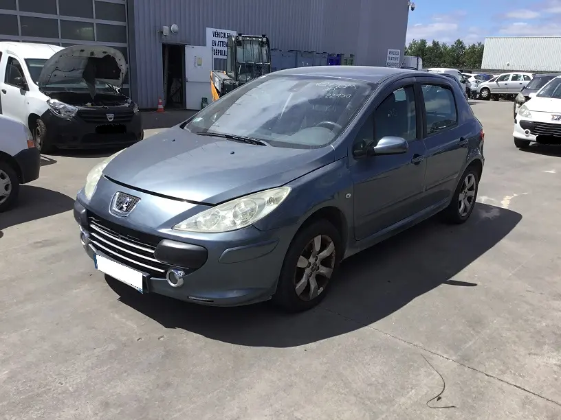 Peugeot 307 1,6 HDI 16V 110 à la pièce (0391251)