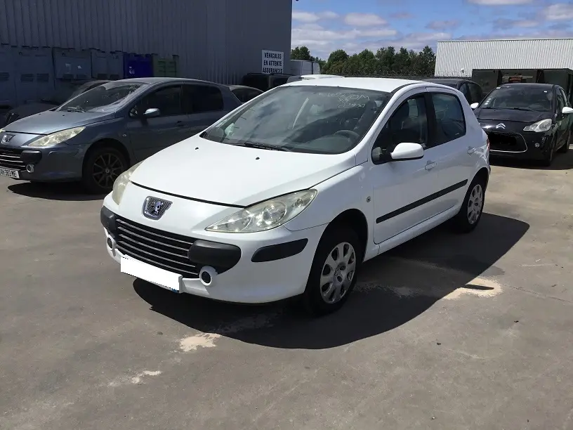 Peugeot 307 1,6 HDI 16V 90 à la pièce (0275251)