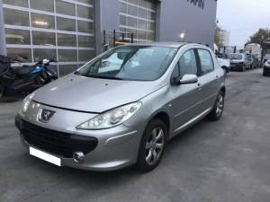 307 II