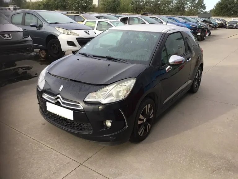 DS3