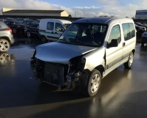 Berlingo